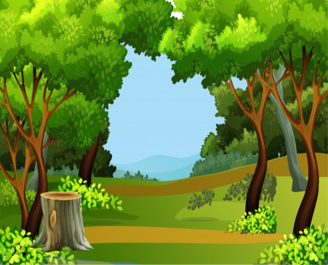 Зеленый фон сцены леса | Премиум векторы