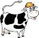 Картинки по запросу картинка коровы для детей