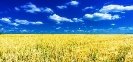 Флеш-моб “Синє небо, жовті гори — синьо-жовті в нас прапори” у ...