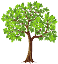 Деревья PNG фото, изображения деревьев в формате PNG
