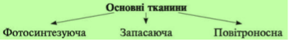 https://subject.com.ua/lesson/biology/6klas/6klas.files/image057.jpg