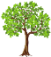 Деревья PNG фото, изображения деревьев в формате PNG