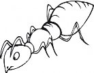 http://www.supercoloring.com/wp-content/thumbnail/2009_01/ant-is-smelling-coloring-page.gif