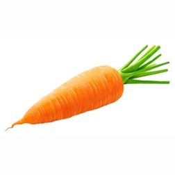 Загадки про морковь, морковку — Стихи, картинки и любовь…