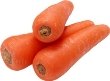 Картинки по запросу картинка морковка