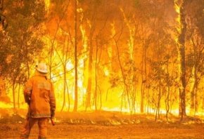 It's only October, so what's with all these bushfires? New ...