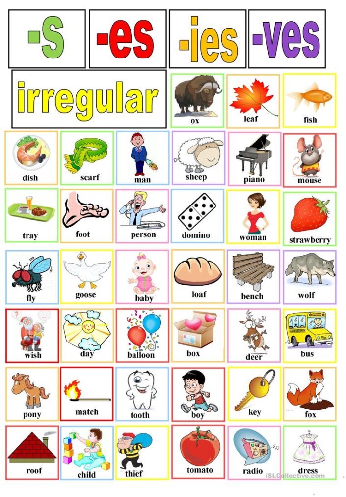 Plural nouns cards - English ESL Worksheets for distance learning ...