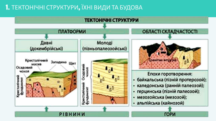 ТЕКТОНІЧНІ СТРУКТУРИ, ЇХНІ ВИДИ ТА БУДОВА
