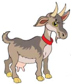Картинки по запросу малюнок    кози