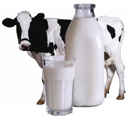 Картинки по запросу Картинка молоко