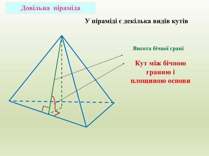 Довільна піраміда. Висота бічної граніКут між бічною гранню і площиною основи. У піраміді є декілька видів кутів∟∠