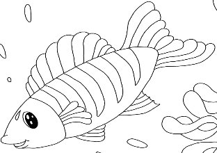 Pin by Julia Gogol on "Коралові рибки" розмальовка. А5.