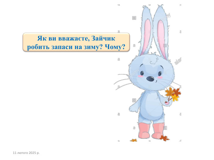 11 лютого 2025 р. Як ви вважаєте, Зайчик робить запаси на зиму? Чому?