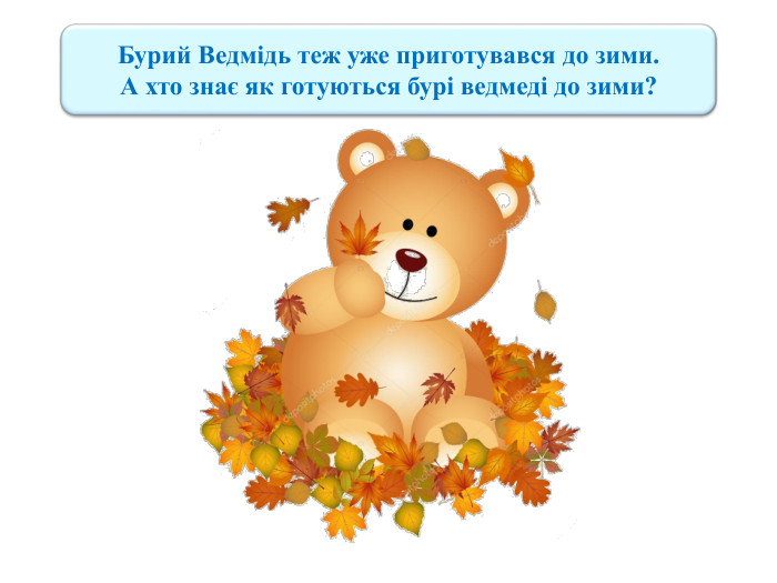 Бурий Ведмідь теж уже приготувався до зими. А хто знає як готуються бурі ведмеді до зими? 