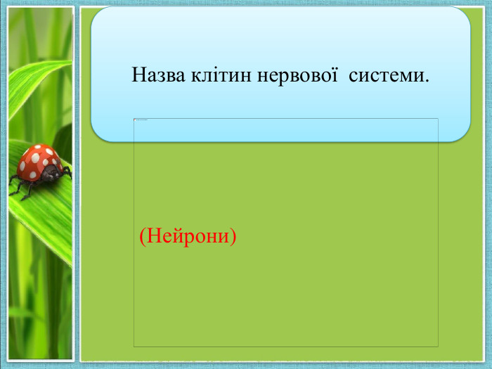 Назва клітин нервової системи. (Нейрони)