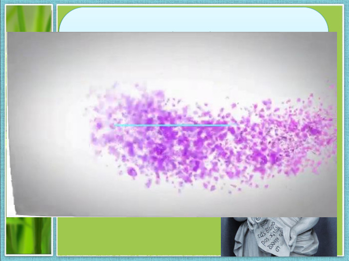 «Батьком» історії називають Геродота, «батьком» географії – Страбона, «батьком» механіки – Архімеда. А «батьком» якої науки є Теофраст»? (Ботаніки)