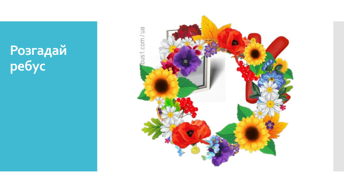 Розгадай ребус