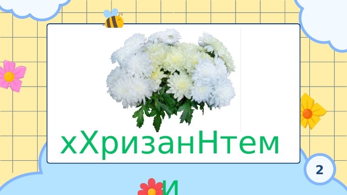 х. Хризан. Нтеми2