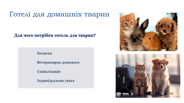 Безпека. Ветеринарна допомога. Соціалізація Індивідуальна увага Готелі для домашніх тварин. Для чого потрібен готель для тварин?