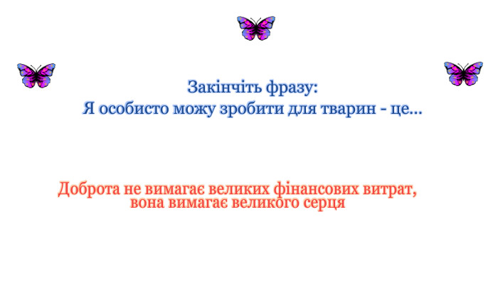 Доброта не вимагає великих фінансових витрат, вона вимагає великого серця. Закінчіть фразу: Я особисто можу зробити для тварин - це…