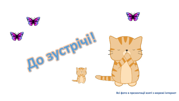 Всі фото в презентації взяті з мережі інтернет. До зустрічі!
