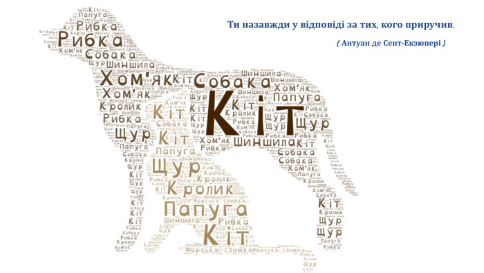 Ти назавжди у відповіді за тих, кого приручив.( Антуан де Сент-Екзюпері )