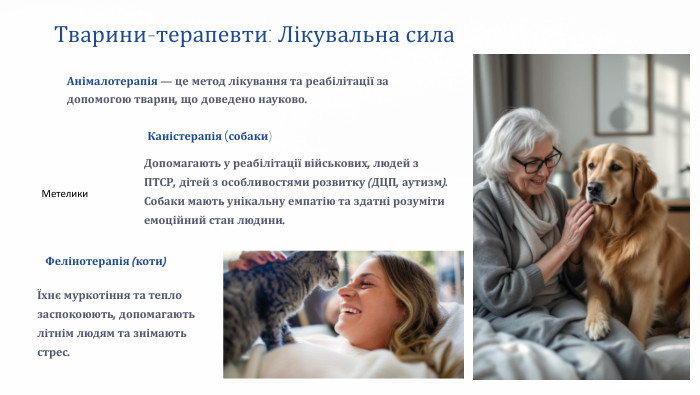 Тварини-терапевти: Лікувальна сила. Каністерапія (собаки)Допомагають у реабілітації військових, людей з ПТСР, дітей з особливостями розвитку (ДЦП, аутизм). Собаки мають унікальну емпатію та здатні розуміти емоційний стан людини. Фелінотерапія (коти)Їхнє муркотіння та тепло заспокоюють, допомагають літнім людям та знімають стрес. Анімалотерапія — це метод лікування та реабілітації за допомогою тварин, що доведено науково. Метелики