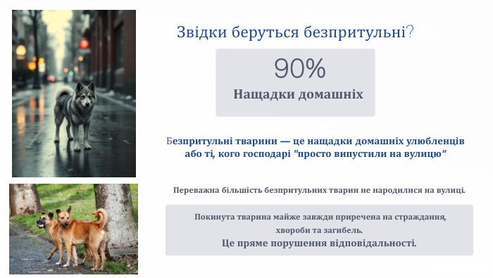 Звідки беруться безпритульні?90%Нащадки домашніх. Безпритульні тварини — це нащадки домашніх улюбленців або ті, кого господарі 