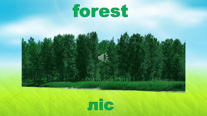 forestліс