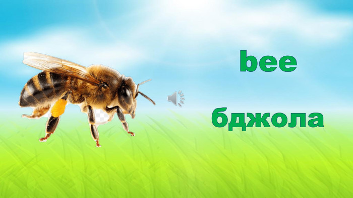 beeбджола