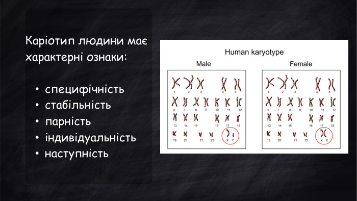 Каріотип людини має характерні ознаки: специфічністьстабільністьпарністьіндивідуальністьнаступність