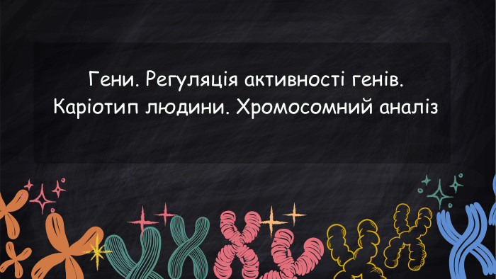 Гени. Регуляція активності генів. Каріотип людини. Хромосомний аналіз