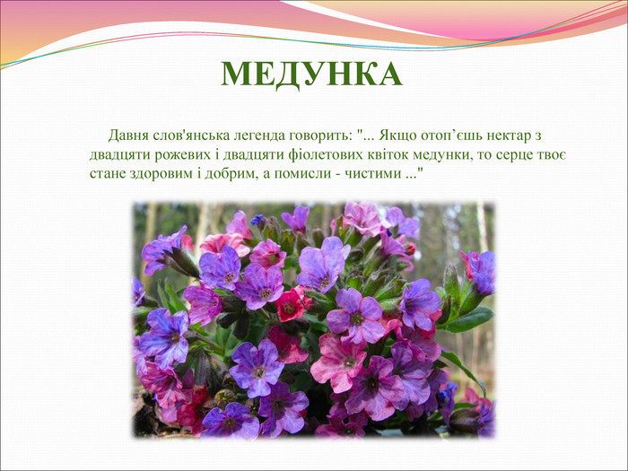Реферат: Українські космогонічні легенди та перекази про квіти і хлібні злаки
