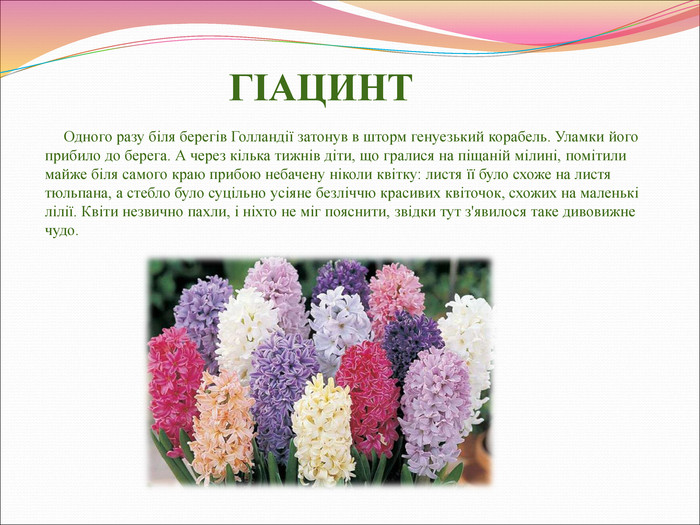 Реферат: Українські космогонічні легенди та перекази про різні трави та квіти