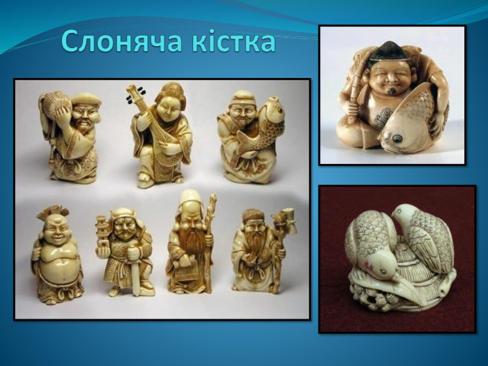  Слоняча кістка