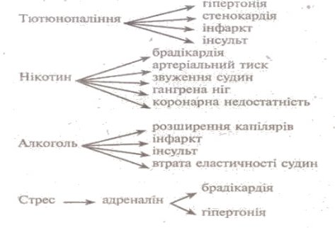http://subject.com.ua/lesson/biology/9klas/9klas.files/image058.jpg