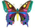 метелик-вітрильник малюнок