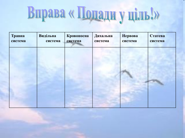   Травна  система Видільна система Кровоносна  система Дихальна  система Нервова  система Статева  система 