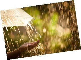 Топ-10 цікавих фактів про дощ - Трибуна