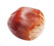 Chestnut isolated on white background, sweet edible chestnuts ...