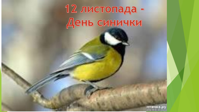 12 листопада - День синички