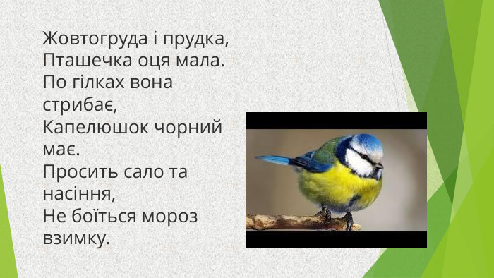 Жовтогруда і прудка,Пташечка оця мала. По гілках вона стрибає,Капелюшок чорний має. Просить сало та насіння,Не боїться мороз взимку.