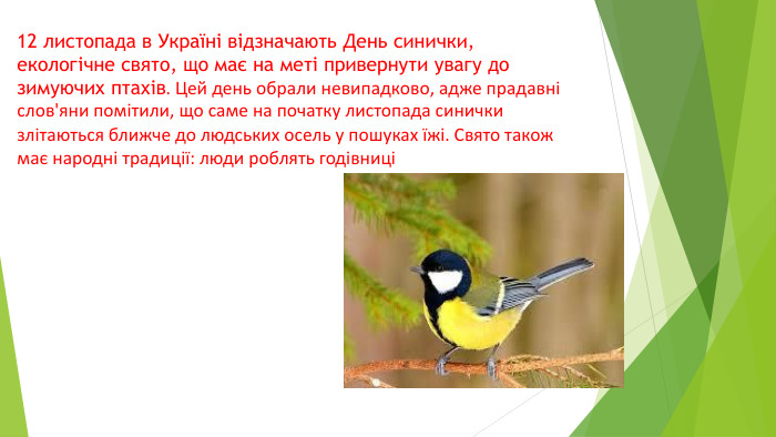 12 листопада в Україні відзначають День синички, екологічне свято, що має на меті привернути увагу до зимуючих птахів. Цей день обрали невипадково, адже прадавні слов'яни помітили, що саме на початку листопада синички злітаються ближче до людських осель у пошуках їжі. Свято також має народні традиції: люди роблять годівниці