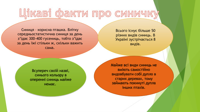 Цікаві факти про синичку. Синиця – корисна пташка. Влітку середньостатистична синиця за день з’їдає 300-400 гусениць, тобто з’їдає за день їжі стільки ж, скільки важить сама. Всього існує більше 50 різних видів синиць. В Україні зустрічається 8 видів. Всупереч своїй назві, синього кольору в оперенні синиць майже немає. Майже всі види синиць не вміють самостійно видовбувати собі дупло в старих деревах, тому займають покинуті дупла інших птахів.r