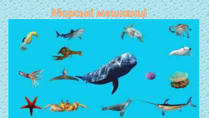 Морські мешканці