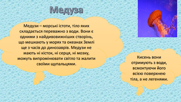 Медуза. Медузи – морські істоти, тіло яких складається переважно з води. Вони є одними з найдивовижніших створінь, що мешкають у морях та океанах Землі ще з часів до динозаврів. Медузи не мають ні кісток, ні серця, ні мозку, можуть випромінювати світло та жалити своїми щупальцями. Кисень вони отримують з води, всмоктуючи його всією поверхнею тіла, а не легенями.
