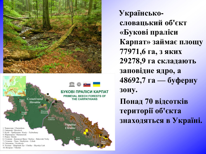     Українсько-словацький об'єкт «Букові праліси Карпат» займає площу 77971,6 га, з яких 29278,9 га складають заповідне ядро, а 48692,7 га — буферну зону.      Понад 70 відсотків території об'єкта знаходяться в Україні.  