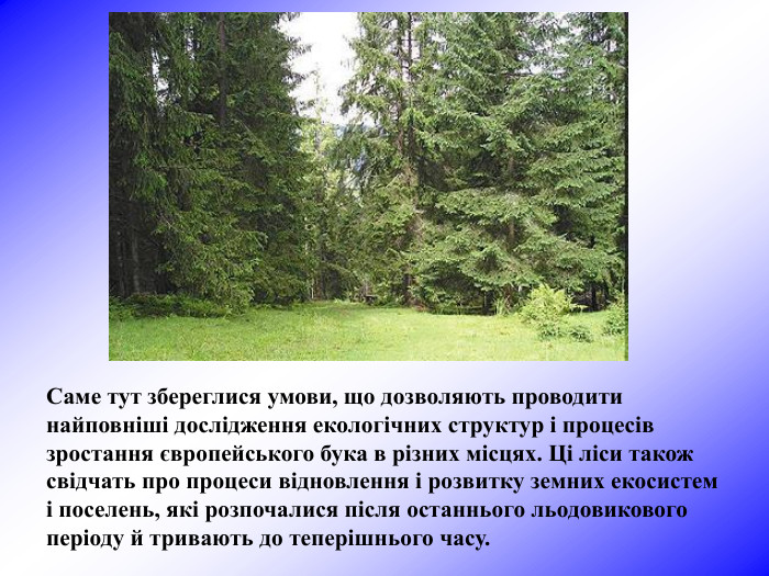 Саме тут збереглися умови, що дозволяють проводити найповніші дослідження екологічних структур і процесів зростання європейського бука в різних місцях. Ці ліси також свідчать про процеси відновлення і розвитку земних екосистем і поселень, які розпочалися після останнього льодовикового періоду й тривають до теперішнього часу.  