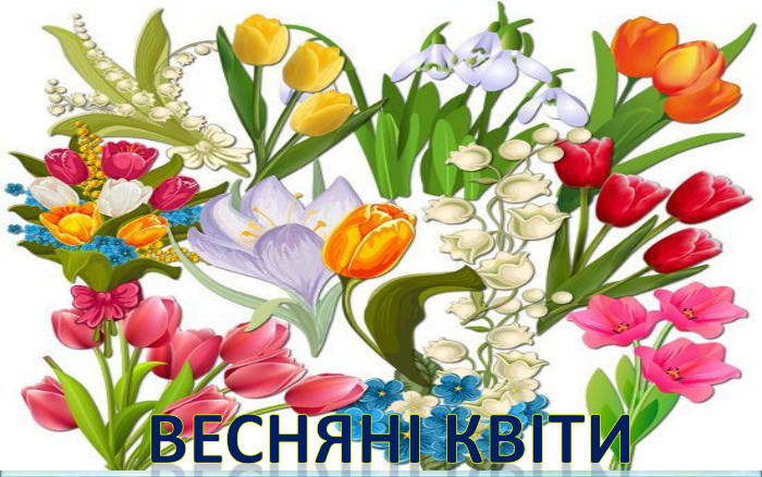 ВЕСНЯНІ КВІТИ