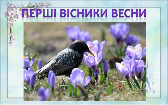 ПЕРШІ ВІСНИКИ ВЕСНИ